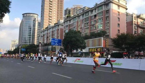 喜报 丨2019凉都 六盘水夏季国际马拉松赛获评中国田径协会金牌赛事